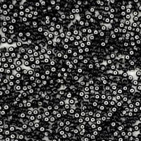 23798 бісер Preciosa (Чехія) 5 грамів.  Чорний з білою серединкою