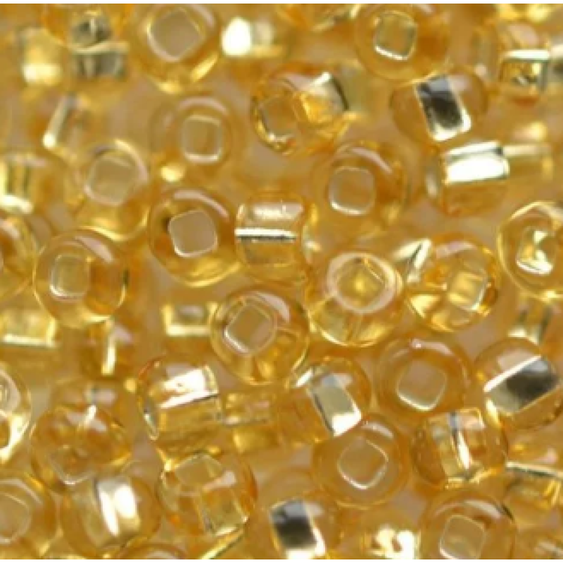 17020 кв бісер №10 Preciosa (Чехія) 5 грамів. Блискучий із квадратною срібною серединкою